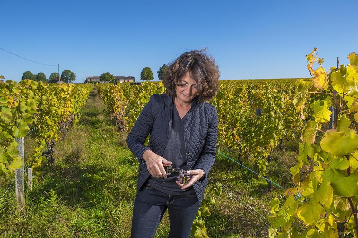 Chateau Sigalas Rabaud Bommes エクステリア 写真